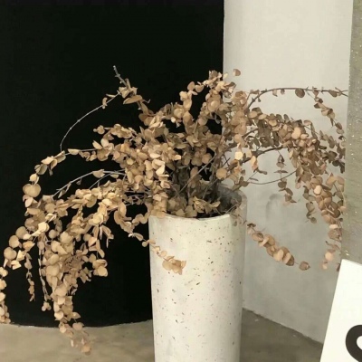 兽设可爱风格设计Furry群